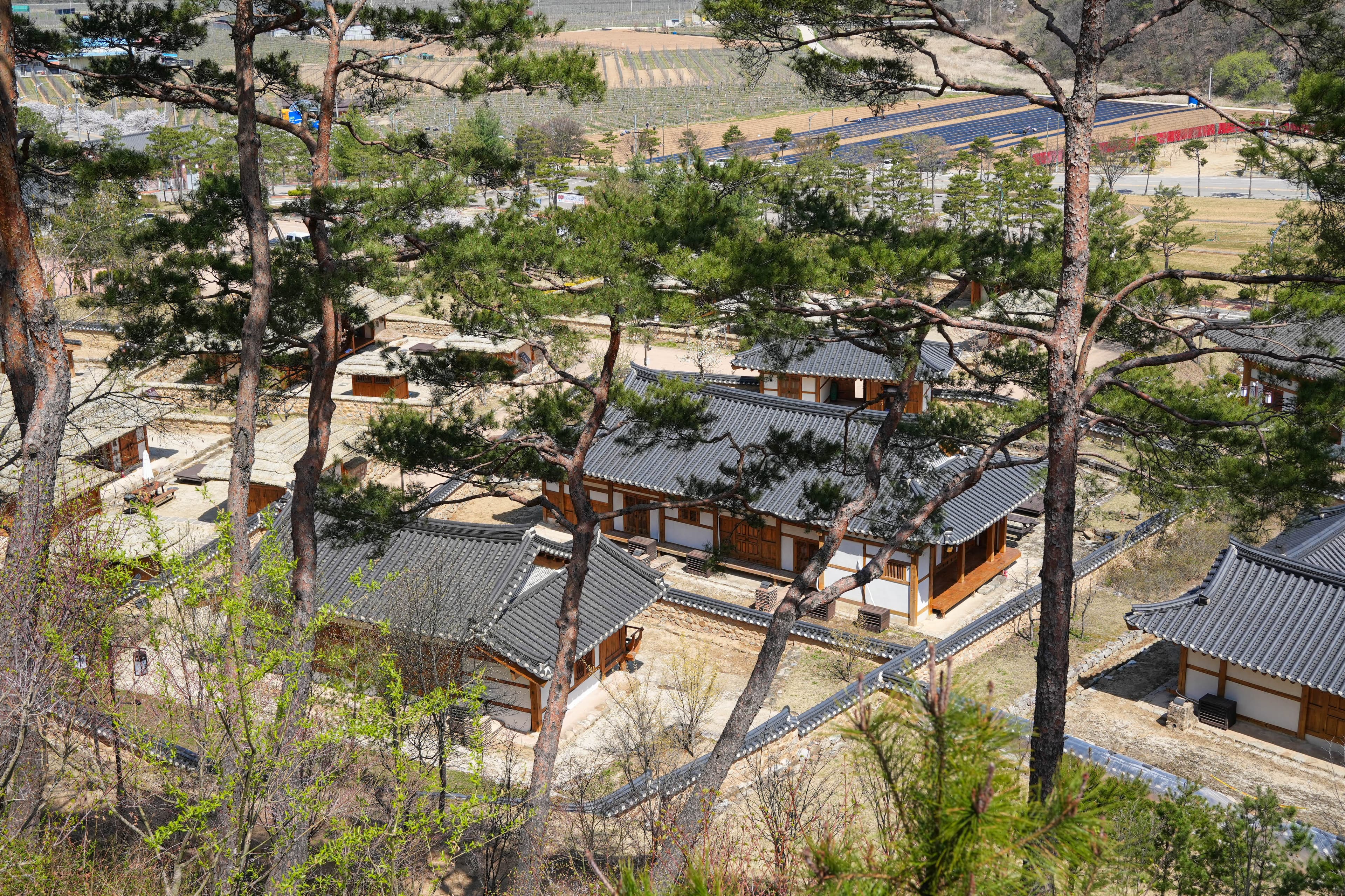 청송 한옥호텔 전경